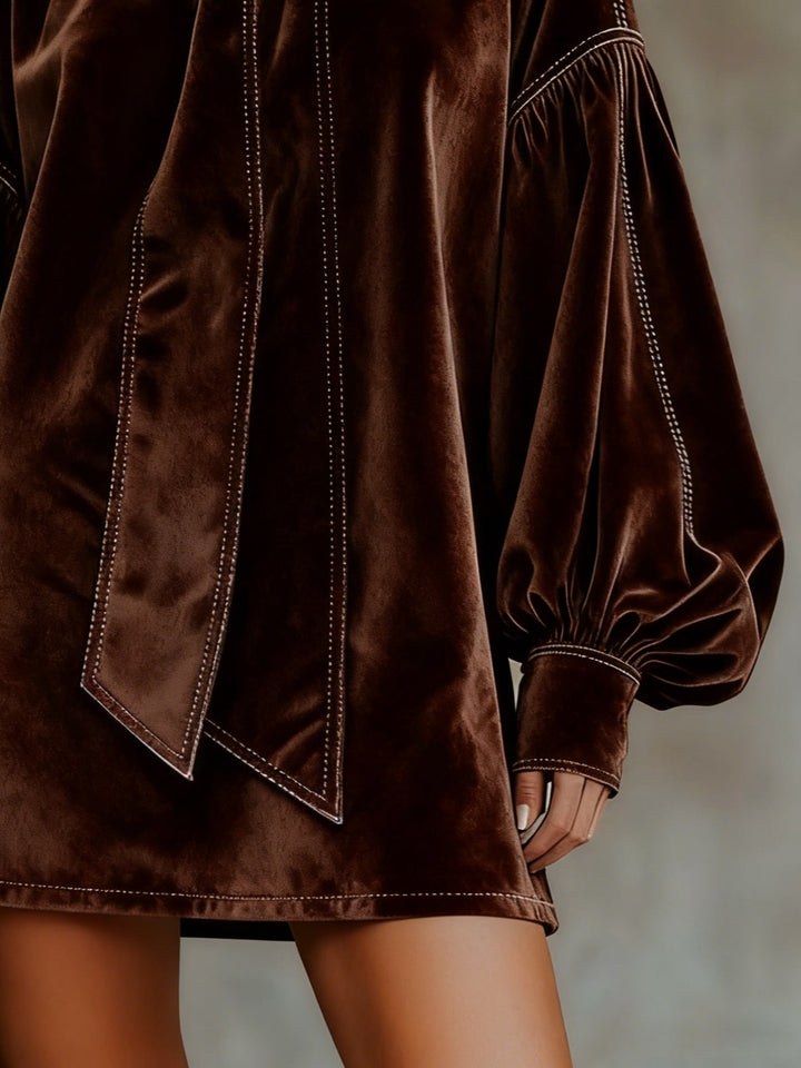 Dark Brown Velvet Bow Lantern Sleeve Mini Dress